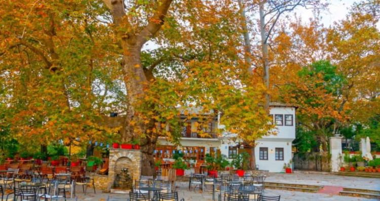 Ημερήσιες εκδρομές με βάση την Κατερίνη: Βόλος και Πήλιο