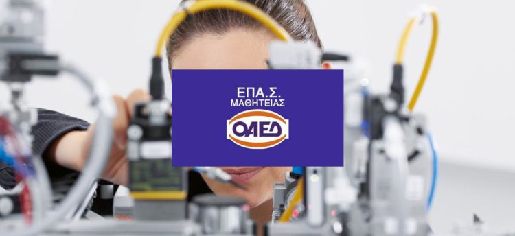 Ξεκινούν οι εγγραφές στις ΕΠΑΣ Μαθητείας – Μέχρι την Κυριακή οι εκπρόθεσμες αιτήσεις για τη συμπλήρωση κενών θέσεων
