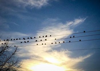 Ο Καιρός Σήμερα: Αίθριος με παροδικές νεφώσεις