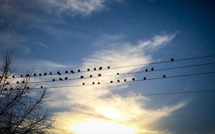 Ο Καιρός Σήμερα: Αίθριος με παροδικές νεφώσεις Ο Καιρός Σήμερα: Αίθριος με παροδικές νεφώσεις