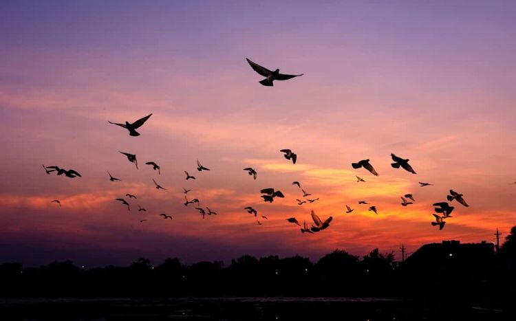 Ο Καιρός Σήμερα: Τοπικές νεφώσεις στα ηπειρωτικά με σποραδικές πρόσκαιρες και ασθενείς βροχές