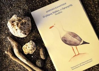 Ο γλάρος Νάθαν, ο Σφυριχτής: Κεφάλαιο 9ο – Τα ελπιδοφόρα δελφίνια και η μάχη με τους πειρατές των γρι γρι – Ο Επίλογος