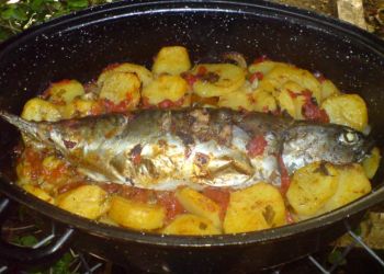 Παγκόσμια Ημέρα Παλαμίδας