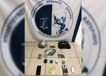 Πιερία: Πατέρας και γιος έστησαν υδροπονική καλλιέργειας κάνναβης