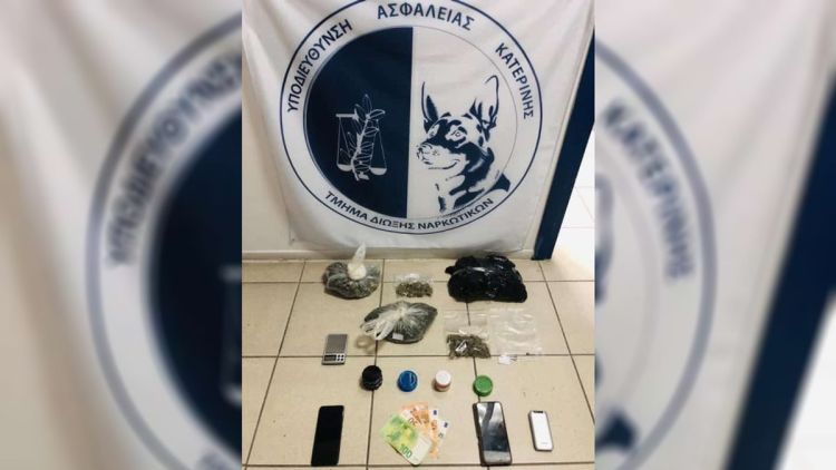 Πιερία: Πατέρας και γιος έστησαν υδροπονική καλλιέργειας κάνναβης