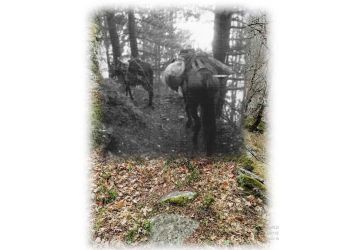 Τα Πιέρια Όρη και ο Δρόμος του αλατιού