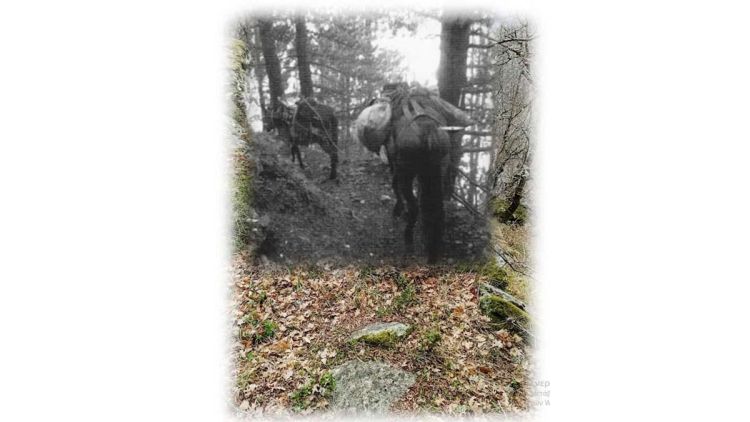 Τα Πιέρια Όρη και ο Δρόμος του αλατιού