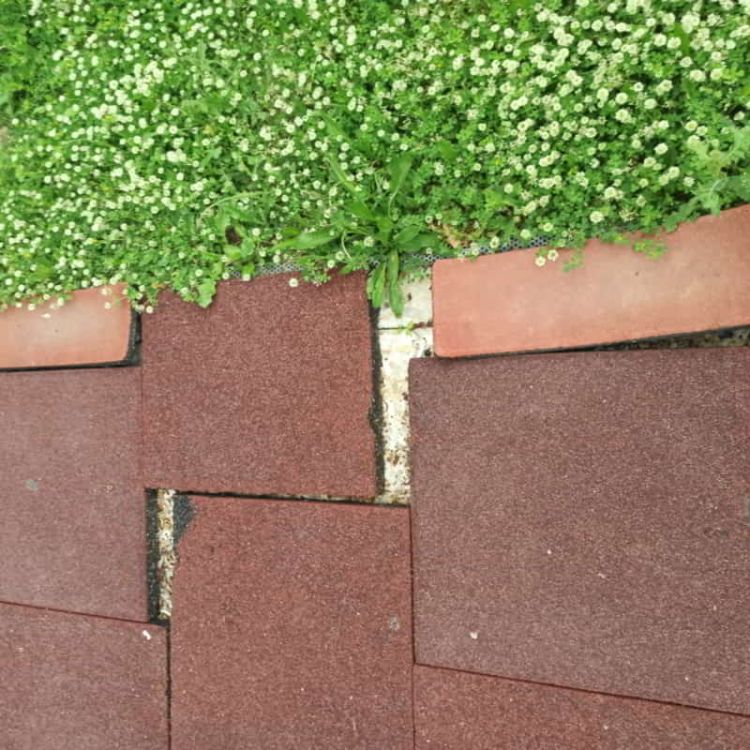 Τσιαμπέρας Νίκος: Ειδικό Δημοτικό Σχολείο Κατερίνης - Γιατί Δήμαρχε; Τσιαμπέρας Νίκος: Ειδικό Δημοτικό Σχολείο Κατερίνης – Γιατί Δήμαρχε;