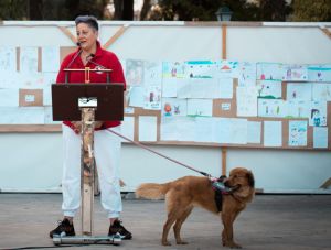 Palso Πιερίας - Πανελλήνιος διαγωνισμό ζωγραφικής και λογοτεχνίας «Help A Stray» Palso Πιερίας – Πανελλήνιος διαγωνισμό ζωγραφικής και λογοτεχνίας «help A Stray»