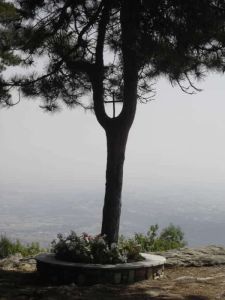 Άνω Μηλιά: Το μικρό χωριό της Πιερίας με τα μεγάλα μονοπάτια