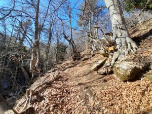 Άνω Μηλιά: Το μικρό χωριό της Πιερίας με τα μεγάλα μονοπάτια