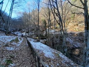 Άνω Μηλιά: Το μικρό χωριό της Πιερίας με τα μεγάλα μονοπάτια