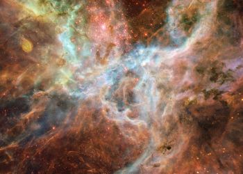 Εβδομάδα 5 Σεπ. – 11 Σεπ. 2022, Πιερία: 492 κρούσματα – Κορονοϊός: 33.590 κρούσματα, 101 διασωληνωμένοι και 129 θάνατοι