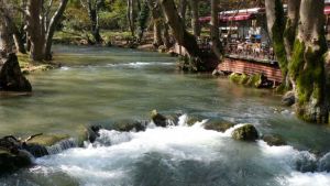 Ημερήσιες εκδρομές με βάση την Κατερίνη – Άλσος Αγ. Νικολάου Νάουσας