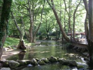 Ημερήσιες εκδρομές με βάση την Κατερίνη – Άλσος Αγ. Νικολάου Νάουσας