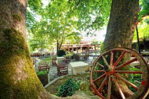 Ημερήσιες εκδρομές με βάση την Κατερίνη – Άλσος Αγ. Νικολάου Νάουσας