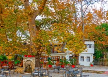 Ημερήσιες εκδρομές με βάση την Κατερίνη: Βόλος και Πήλιο