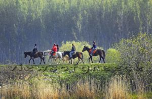 Ημερήσιες εκδρομές με βάση την Κατερίνη – Λίμνη Κερκίνη & Άνω Πορόϊα Ημερήσιες εκδρομές με βάση την Κατερίνη – Λίμνη Κερκίνη & Άνω Πορόϊα
