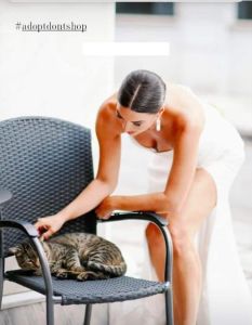 Λιτόχωρο: Παντρεύτηκαν και έβαλαν στο γάμο τους κουμπαρά να μαζευτούν χρήματα για τα αδέσποτα της περιοχής