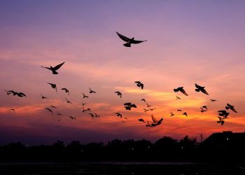 Ο Καιρός Σήμερα: Τοπικές νεφώσεις στα ηπειρωτικά με σποραδικές πρόσκαιρες και ασθενείς βροχές Ο Καιρός Σήμερα: Τοπικές νεφώσεις στα ηπειρωτικά με σποραδικές πρόσκαιρες και ασθενείς βροχές