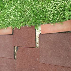 Τσιαμπέρας Νίκος: Ειδικό Δημοτικό Σχολείο Κατερίνης - Γιατί Δήμαρχε; Τσιαμπέρας Νίκος: Ειδικό Δημοτικό Σχολείο Κατερίνης – Γιατί Δήμαρχε;