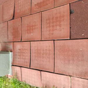 Τσιαμπέρας Νίκος: Ειδικό Δημοτικό Σχολείο Κατερίνης - Γιατί Δήμαρχε; Τσιαμπέρας Νίκος: Ειδικό Δημοτικό Σχολείο Κατερίνης – Γιατί Δήμαρχε;