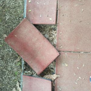 Τσιαμπέρας Νίκος: Ειδικό Δημοτικό Σχολείο Κατερίνης - Γιατί Δήμαρχε; Τσιαμπέρας Νίκος: Ειδικό Δημοτικό Σχολείο Κατερίνης – Γιατί Δήμαρχε;