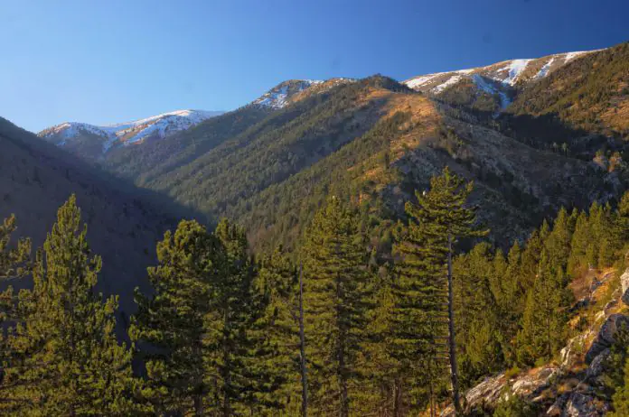 Όλυμπος: Νεκρός ανασύρθηκε ο 60χρονος ορειβάτης που έπεσε σε γκρεμό Όλυμπος: Αγνοείται πεζοπόρος