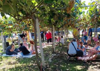 Όλυμπος: Μαγειρεύοντας στη γη των Θεών – Πώς η γαστρονομία έγινε ατού στη μάχη του τουρισμού