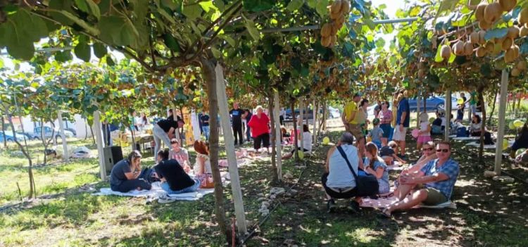 Όλυμπος: Μαγειρεύοντας στη γη των Θεών – Πώς η γαστρονομία έγινε ατού στη μάχη του τουρισμού