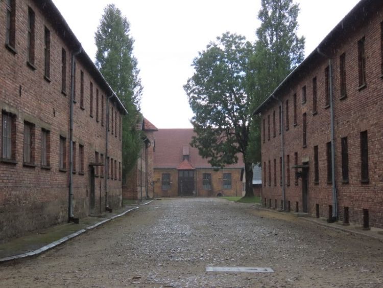 Όταν η Ρόζα, η Δώρα και η Ολυμπία πήγαν στο Άουσβιτς…