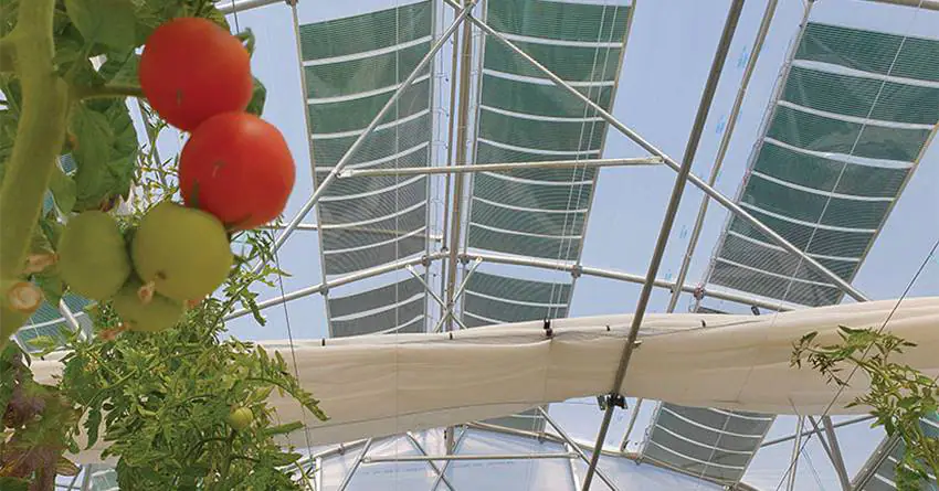 Αυτόματο προσχέδιο