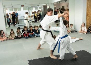 Γυμναστικός Αθλητικός Σύλλογος ΠΑΝΘΕΟΝ «Μαχητικά Αθλήματα» – Εγκαίνια του νέου συλλόγου στην Κατερίνη