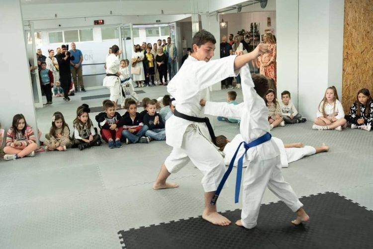 Γυμναστικός Αθλητικός Σύλλογος ΠΑΝΘΕΟΝ «Μαχητικά Αθλήματα» – Εγκαίνια του νέου συλλόγου στην Κατερίνη