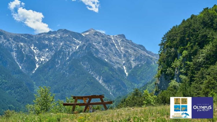Δήμος Δίου-Ολύμπου: Υποψηφιότητα του Ολύμπου ως Παγκόσμιο Μνημείο Πολιτιστικής και Φυσικής Κληρονομιάς Δήμος Δίου Ολύμπου: Υποψηφιότητα του Ολύμπου ως Παγκόσμιο Μνημείο Παγκόσμιας Πολιτιστικής και Φυσικής Κληρονομιάς