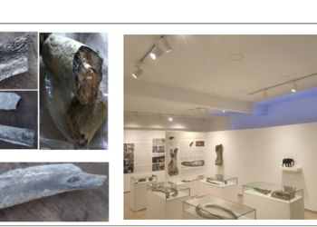 Εγκαίνια Μόνιμης Παλαιοντολογικής Έκθεσης «ΜΑΣΤΟΔΟΝΤΑΣ – ΝΕΟΚΑΙΣΑΡΕΙΑ»