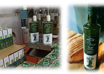 Η «η ισχύς εν τη ενώσει», για τους ελαιοπαραγωγούς του εξαιρετικά παρθένου ελαιόλαδου ΘΕΪΚΟ ΟΛΥΜΠΟΣ.