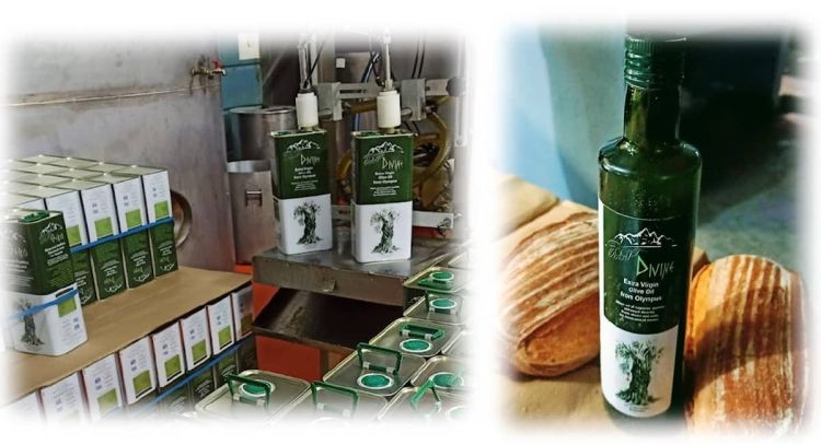 Η «η ισχύς εν τη ενώσει», για τους ελαιοπαραγωγούς του εξαιρετικά παρθένου ελαιόλαδου ΘΕΪΚΟ ΟΛΥΜΠΟΣ.