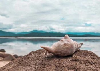 Καιρός: Γενικά αίθριος με λίγες νεφώσεις για αύριο Κυριακή