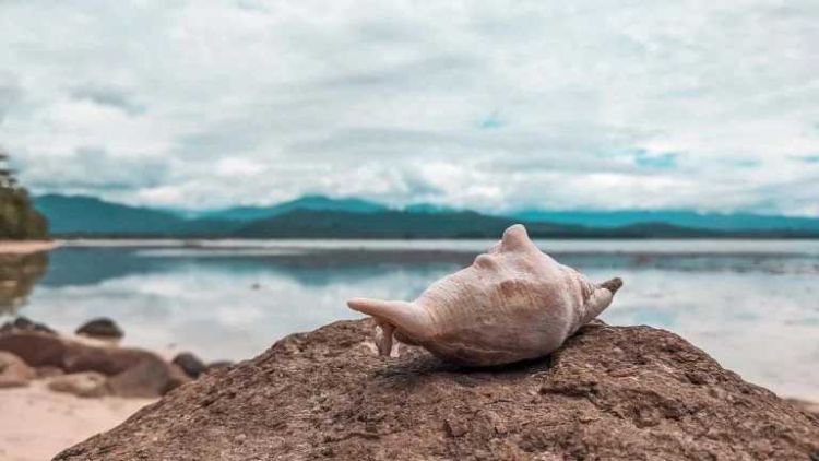 Καιρός: Γενικά αίθριος με λίγες νεφώσεις για αύριο Κυριακή