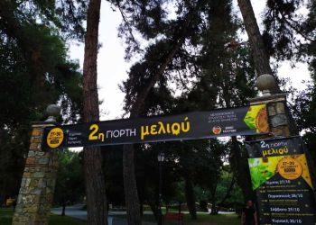 Μελισσοκομικός Σύλλογος Πιερίας: 2η γιορτή μελιού στο Πάρκο της Κατερίνης