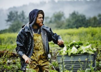 Νέοι αγρότες – Ολοκληρώθηκαν οι πληρωμές της πρώτης δόσης