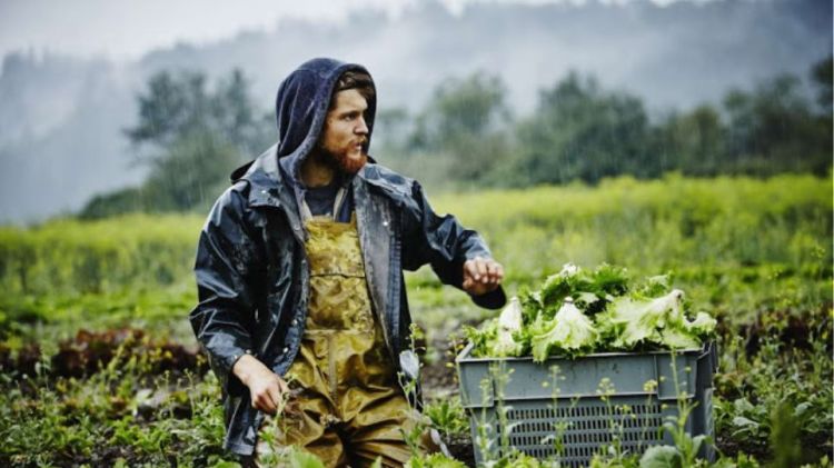 Νέοι αγρότες – Ολοκληρώθηκαν οι πληρωμές της πρώτης δόσης