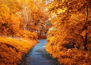 Ο Καιρός σήμερα: Αίθριος και αμετάβλητη η θερμοκρασία