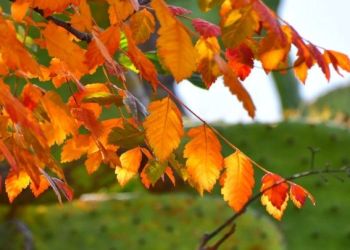 Ο φετινός Σεπτέμβριος, ο τρίτος ψυχρότερος τα τελευταία 12 χρόνια στη βορεια Ελλάδα