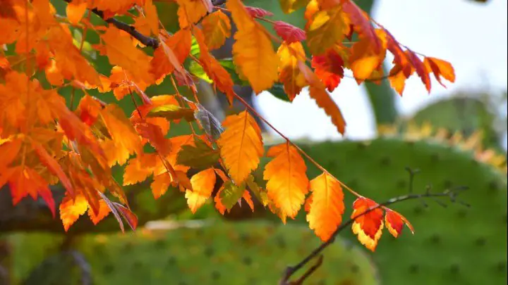 Ο φετινός Σεπτέμβριος, ο τρίτος ψυχρότερος τα τελευταία 12 χρόνια στη βόρεια Ελλάδα Ο φετινός Σεπτέμβριος, ο τρίτος ψυχρότερος τα τελευταία 12 χρόνια στη βορεια Ελλάδα
