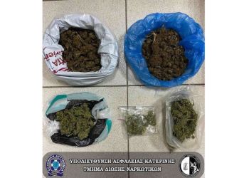 Πιερία: Χειροπέδες σε 44χρονο για κατοχή κάνναβης