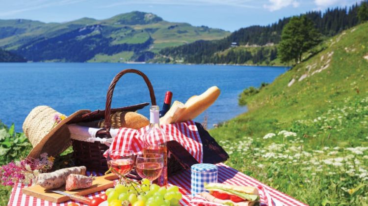 Το πικ-νικ επανέρχεται Το πικ νικ επανέρχεται