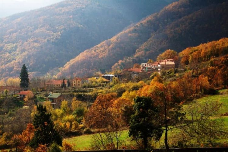 Χρήστος Τζιουβάρας: Ενεργειακή φτώχεια στις ορεινές περιοχές (Πιερία)