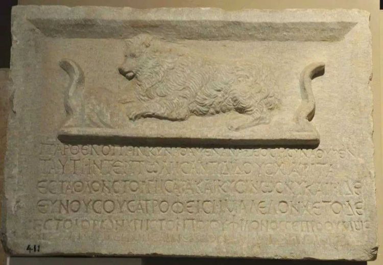 Παγκόσμια ημέρα των ζώων: Τάφος σκυλίτσας στην αρχαία ακρόπολη υπενθυμίζει την γλυκιά σχέση του ανθρώπου με τα ζώα